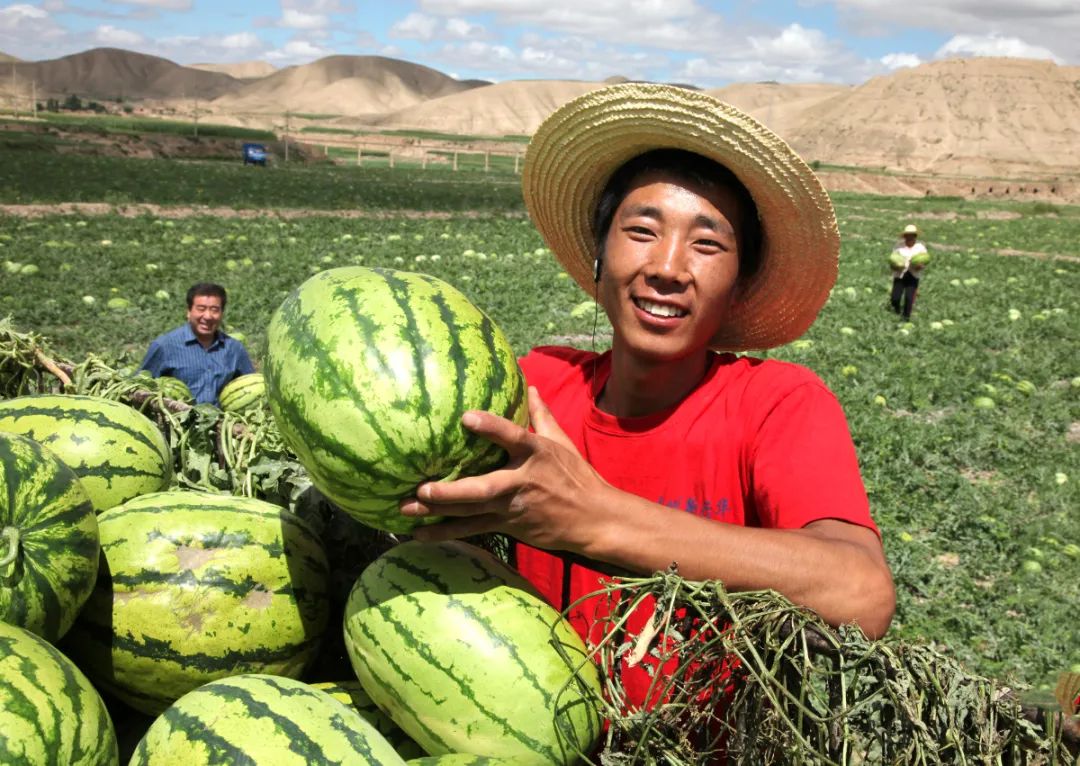 锌硒优质农产品品牌排行(锌硒片品牌)-硒宝网