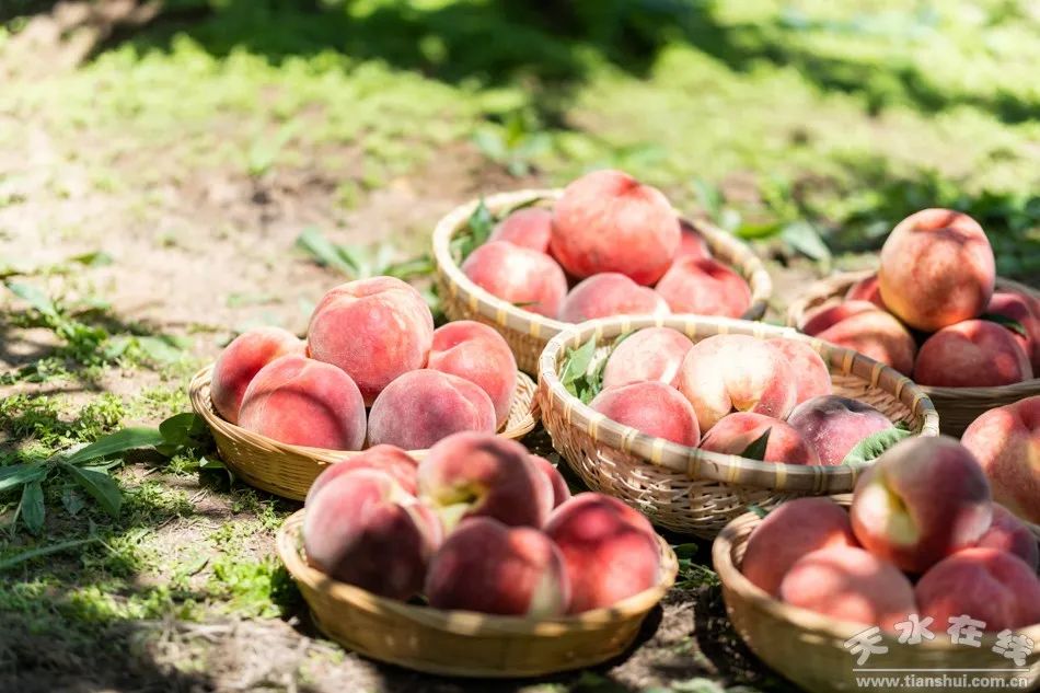 锌硒优质农产品品牌排行(锌硒片品牌)-硒宝网