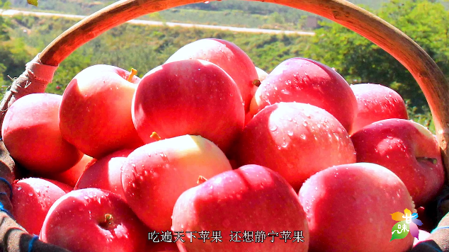 锌硒优质农产品品牌排行(锌硒片品牌)-硒宝网