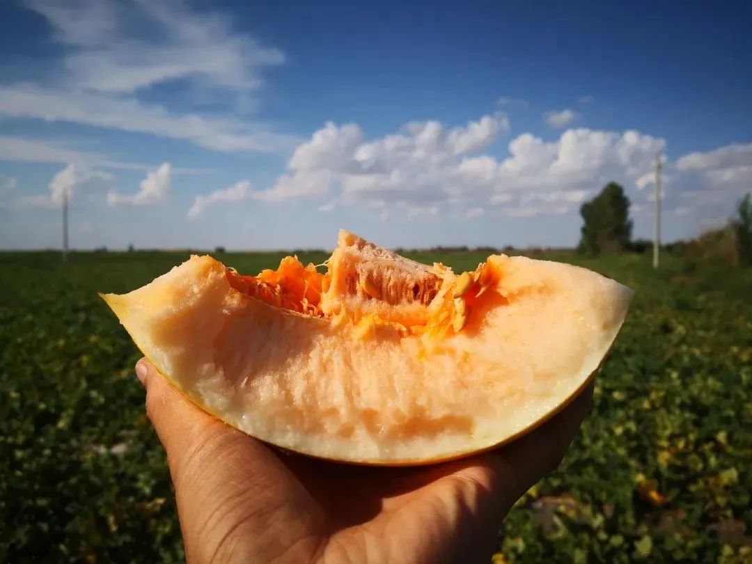 锌硒优质农产品品牌排行(锌硒片品牌)-硒宝网