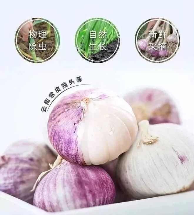 我是大医生推荐的硒产品(硒片推荐)-硒宝网