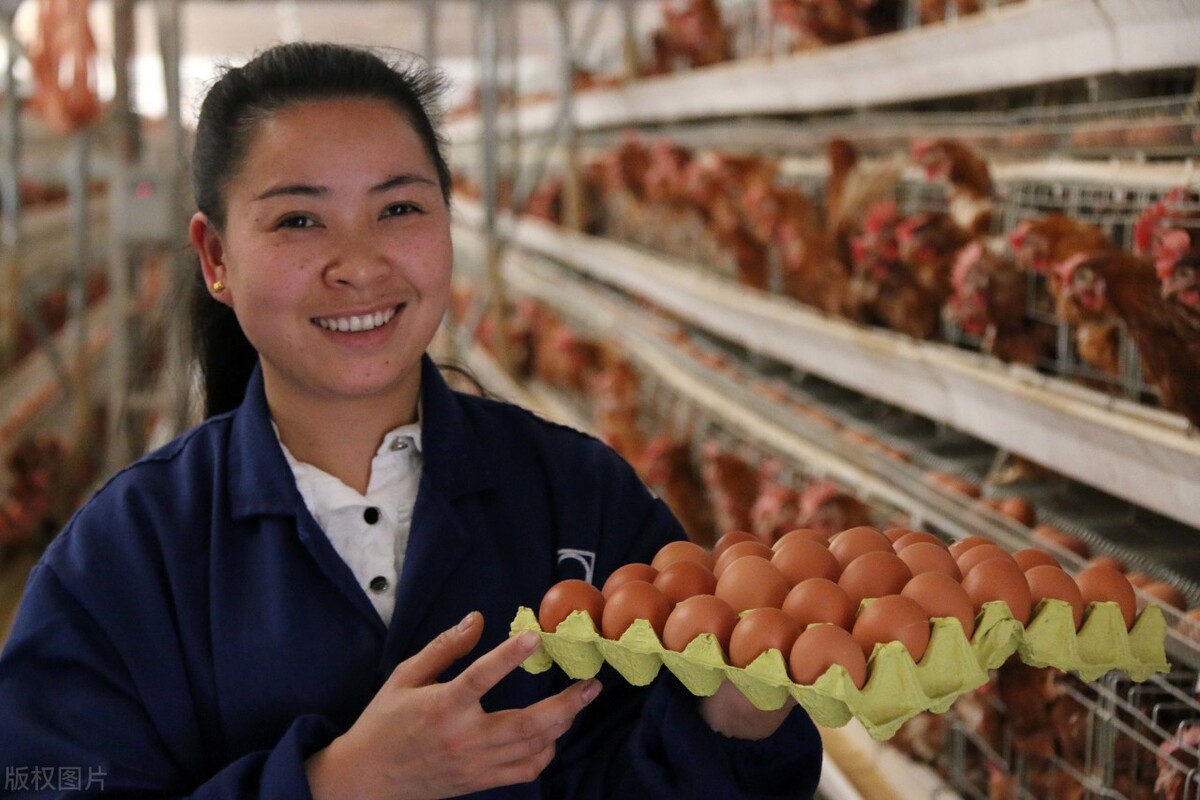 是谁发明了硒酵母菌产品(酵母硒的生产原理)-硒宝网