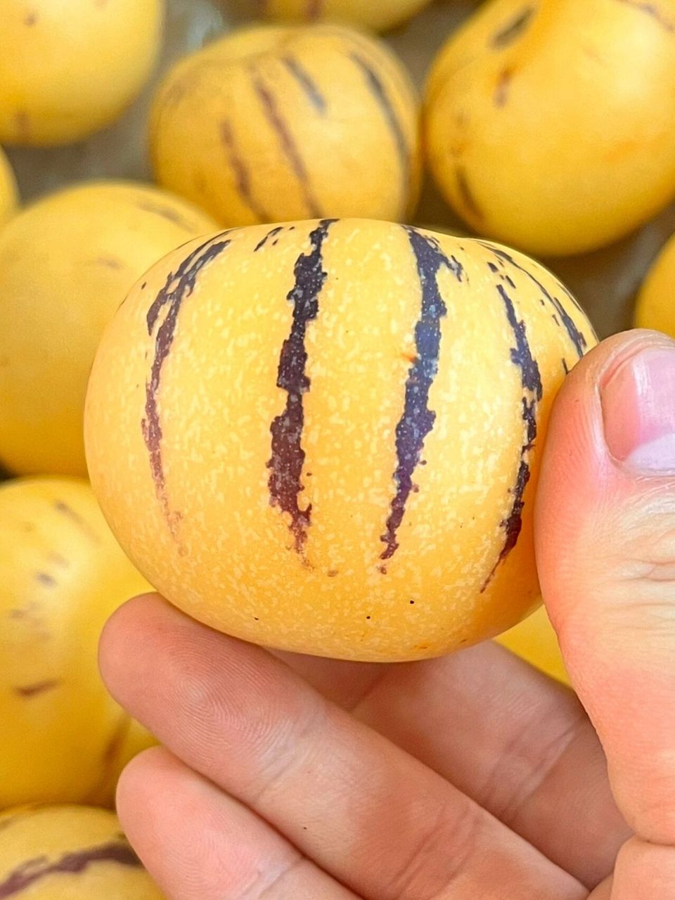 哪些电子产品含硒量高些(硒易得到电子还是失去电子)-硒宝网