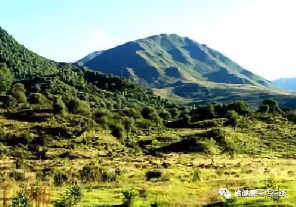 中国富硒农产品认证中心(中国富硒农业网)-硒宝网