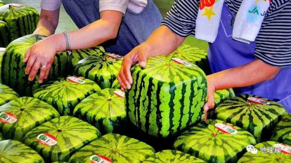 农产品硒元素太高好不好（好农源蔬菜那总裁是谁）-硒宝网