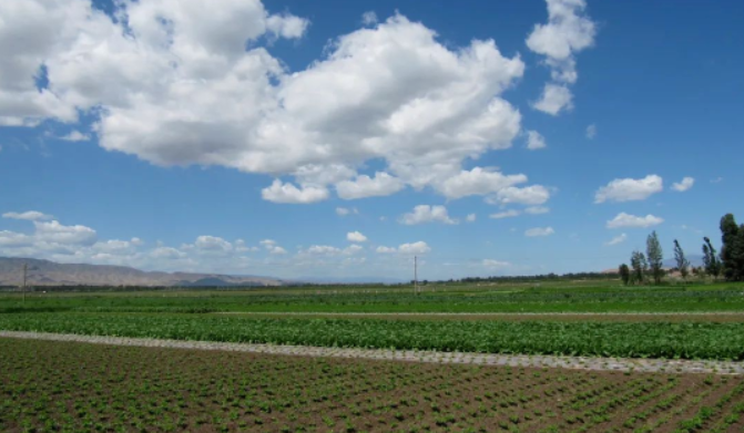 农产品硒元素太高好不好（好农源农业发展有限公司）-硒宝网