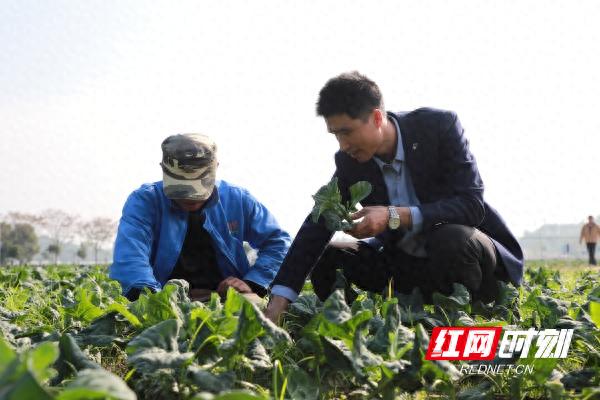 湖南永州新田县硒农产品（新田县硒元素分布图）-硒宝网