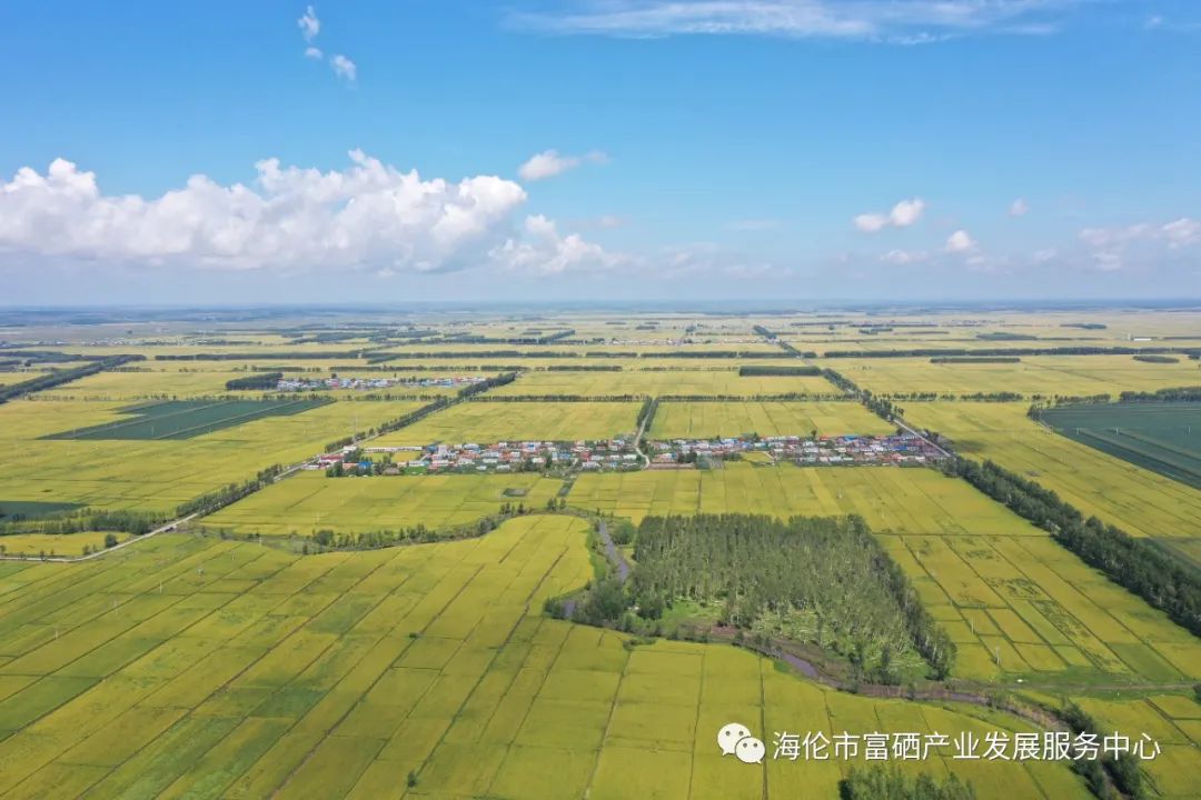 上海富硒农产品检测中心（上海农产品检测中心地址电话）-硒宝网