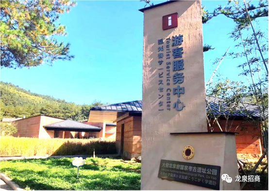 硒和菌立方是一个产品吗（菌立方食用菌固体饮料）-硒宝网