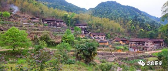 硒和菌立方是一个产品吗（菌立方食用菌固体饮料）-硒宝网