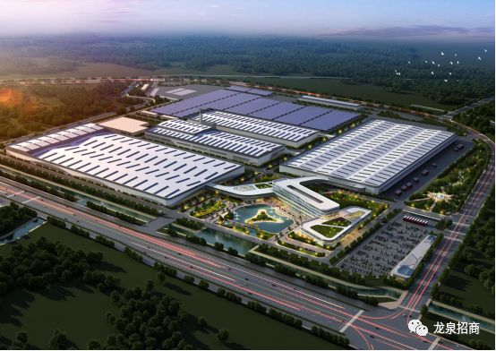 硒和菌立方是一个产品吗（菌立方食用菌固体饮料）-硒宝网