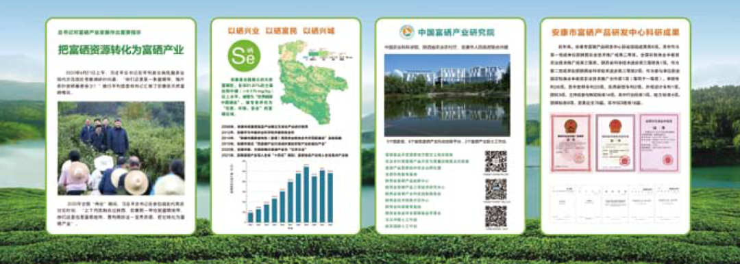 硒农产品全球市场怎么样(补充纳米硒产品)-硒宝网