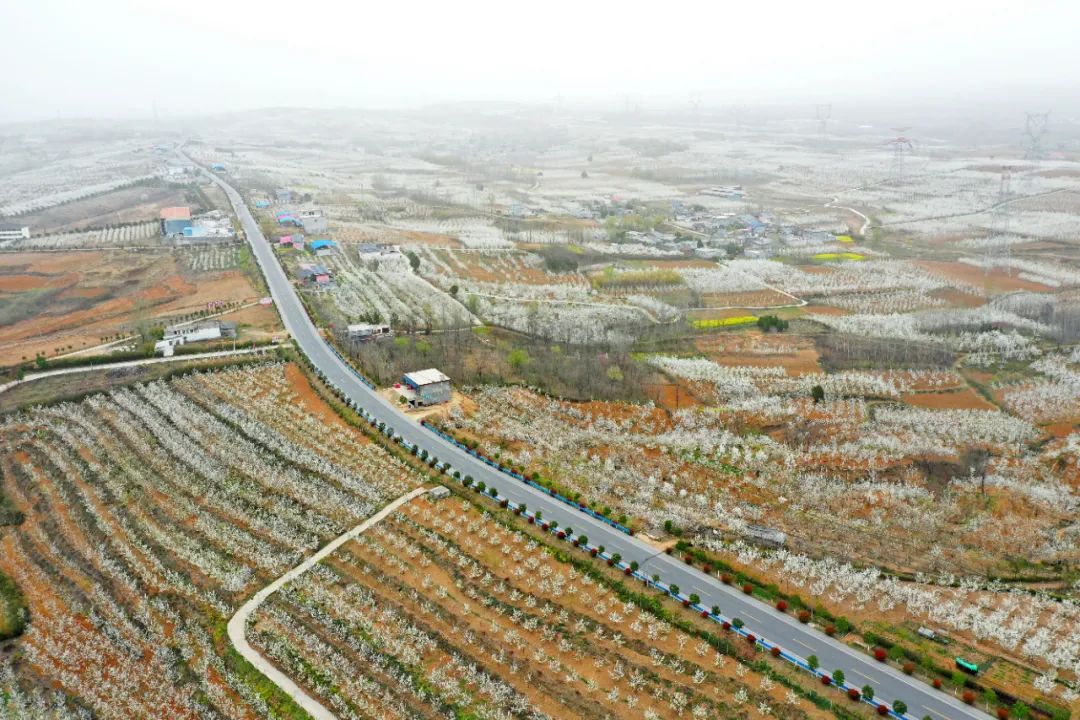 硒和菌立方是一个产品吗(菌立方是什么)-硒宝网