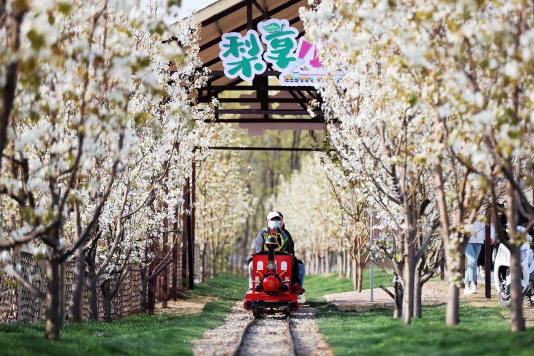 硒和菌立方是一个产品吗(菌立方是什么)-硒宝网