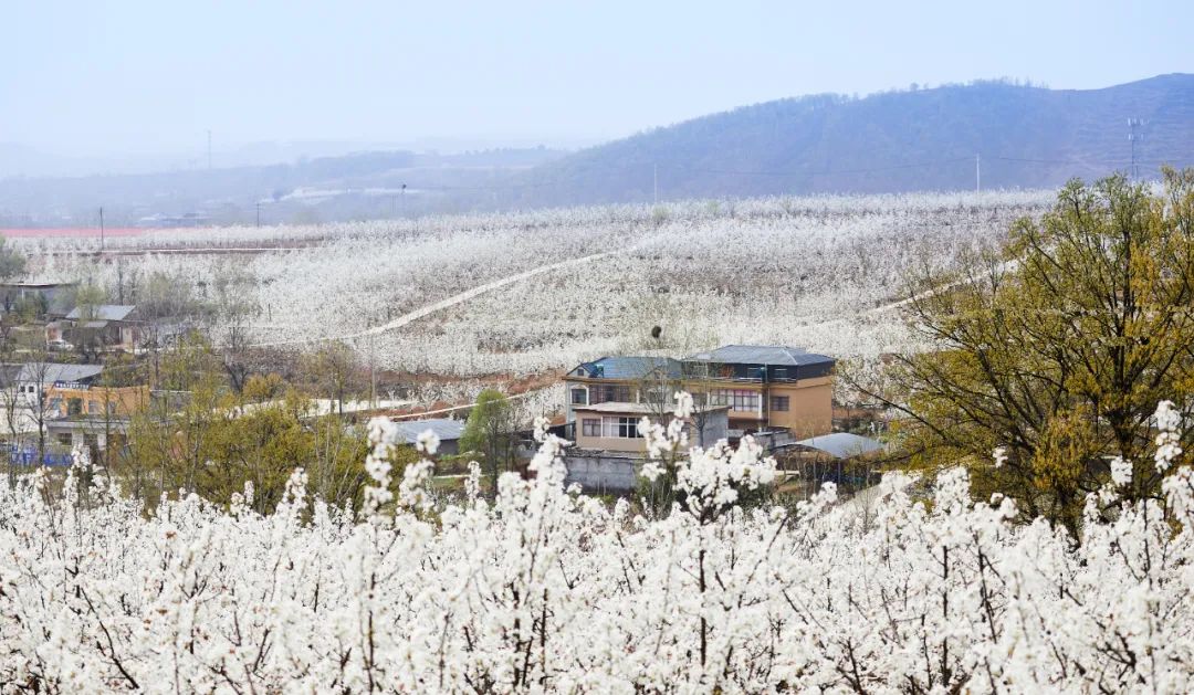 硒和菌立方是一个产品吗(菌立方是什么)-硒宝网