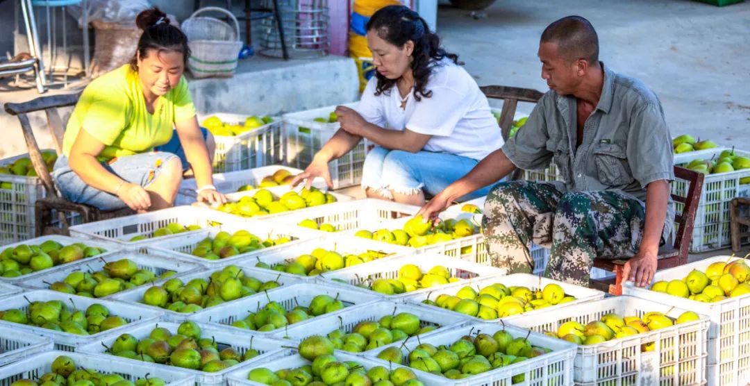 硒和菌立方是一个产品吗(菌立方是什么)-硒宝网