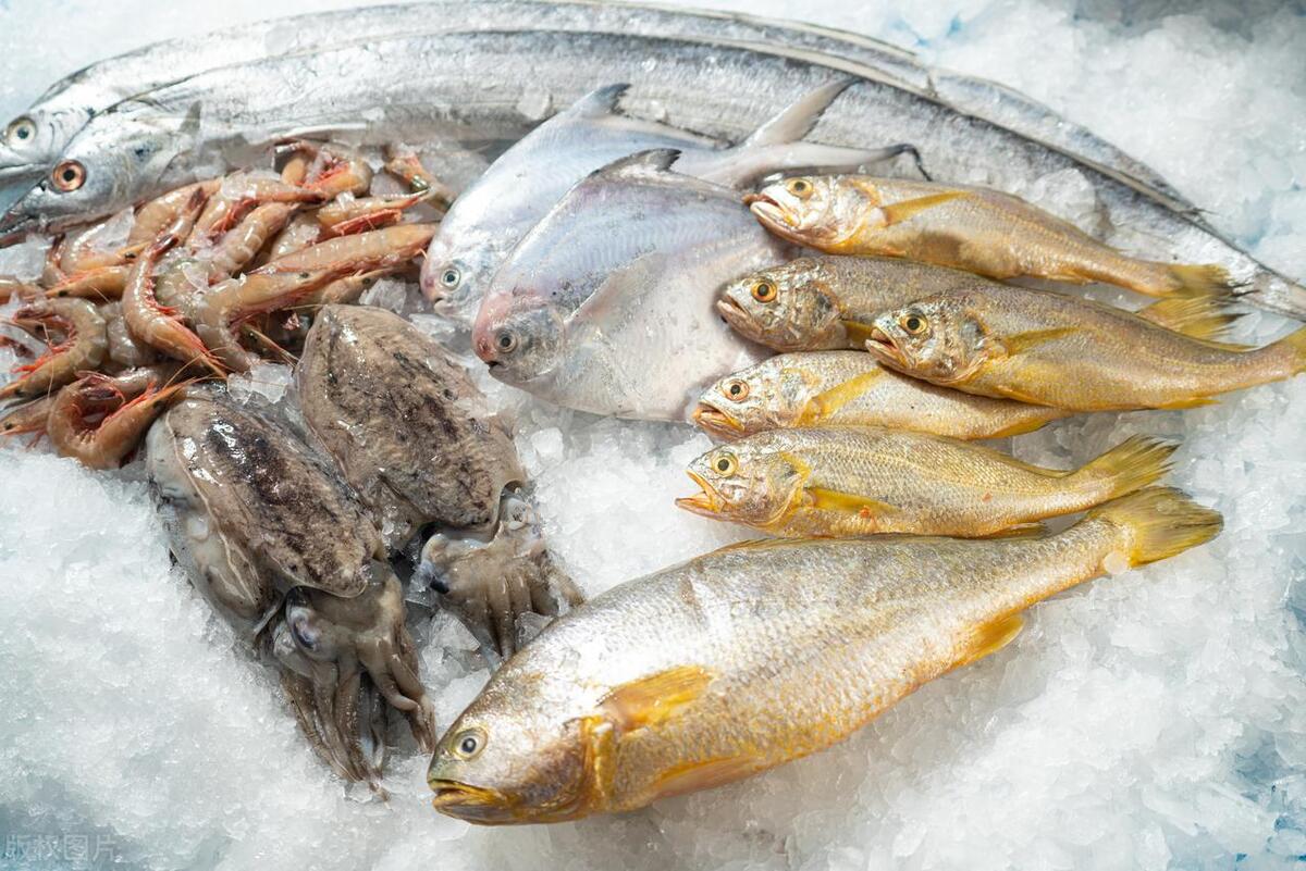 海产品含微量元素硒多吗(微量元素含海产品硒吗)-硒宝网