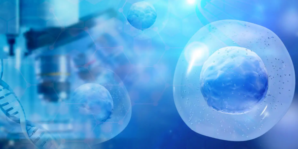 硒与农产品品质的关系是（农产品硒含量标准）-硒宝网