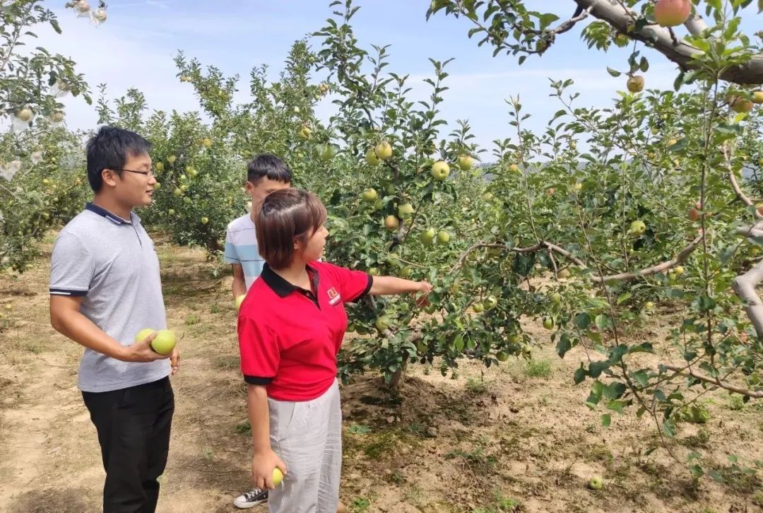 硒与农产品品质的关系是(农产品富硒标准)-硒宝网