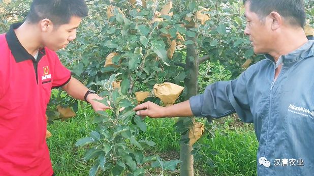 硒与农产品品质的关系是(农产品富硒标准)-硒宝网