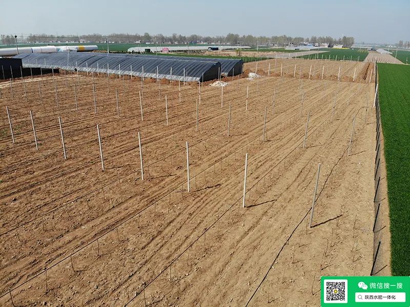 硒与农产品品质的关系是(农产品富硒标准)-硒宝网