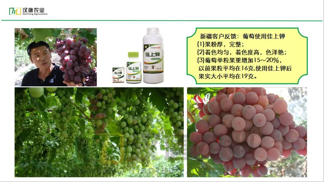 硒与农产品品质的关系是(农产品富硒标准)-硒宝网