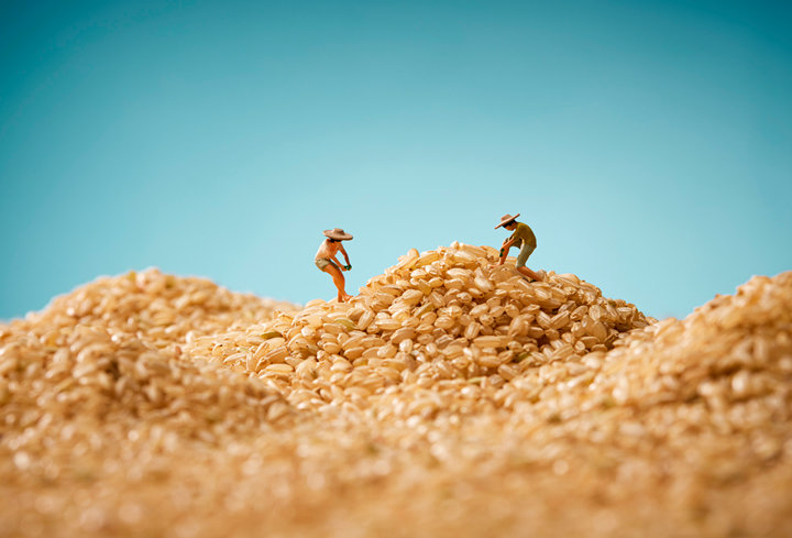 安琪纽特硒的产品怎么样(安琪纽特酵母硒怎么样)-硒宝网