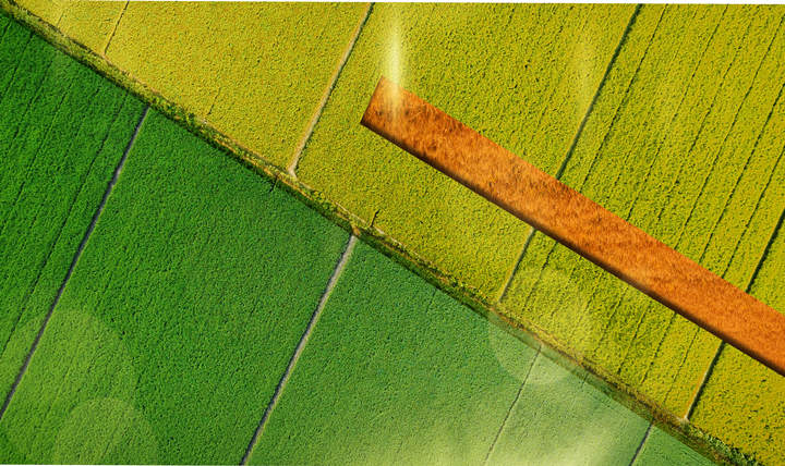 安琪纽特硒的产品怎么样(安琪纽特酵母硒怎么样)-硒宝网