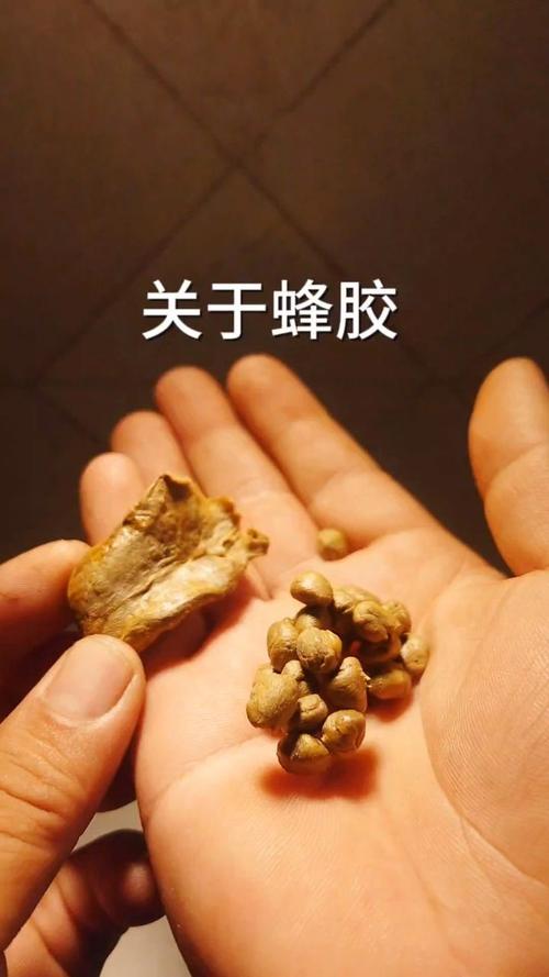 硒维康和蜂胶能同时吃吗（硒和蜂胶哪个抗癌）-硒宝网