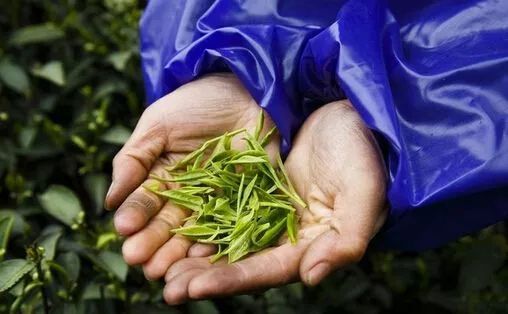 吃硒维康会导致肾结石吗(肾结石能喝富硒水吗)-硒宝网