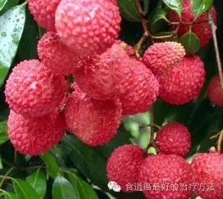 食管癌患者能吃硒维康吗（食道癌患者能补硒吗）-硒宝网