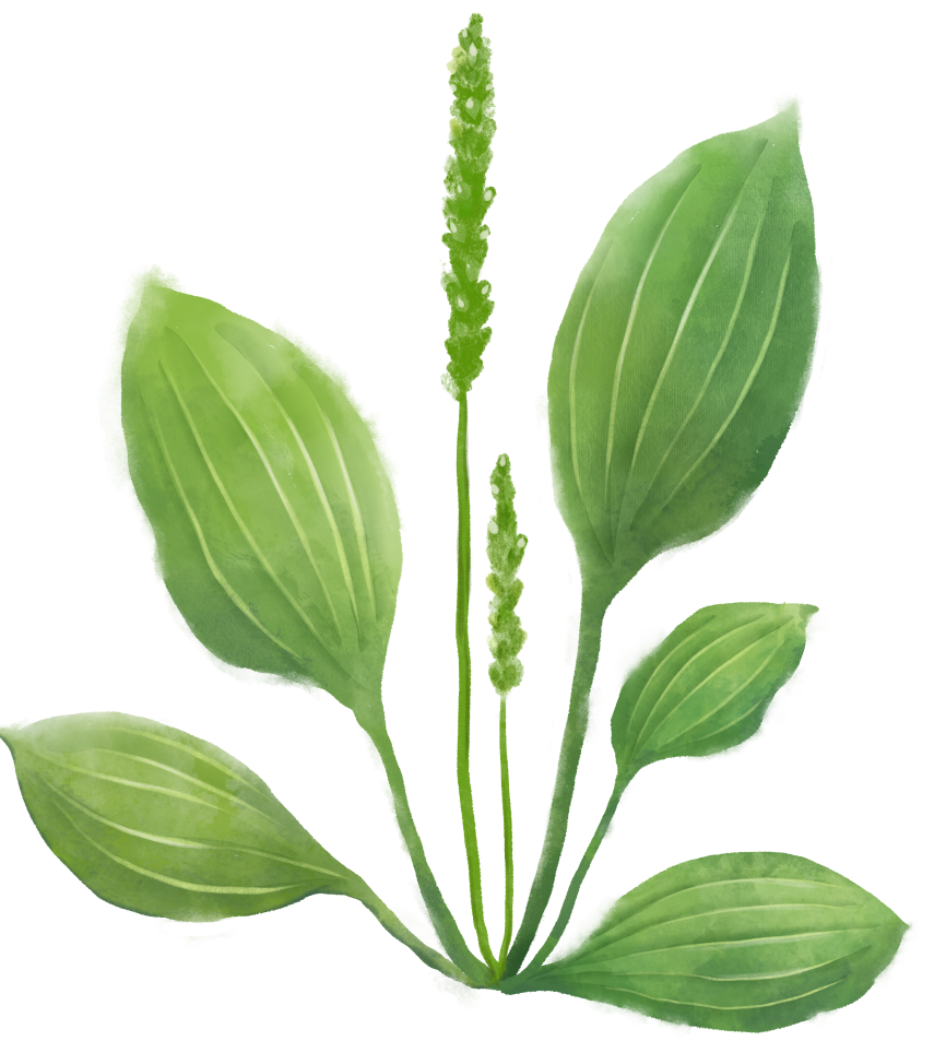 硒维康能喝中药一起吃吗(吃中药可以吃硒片吗)-硒宝网