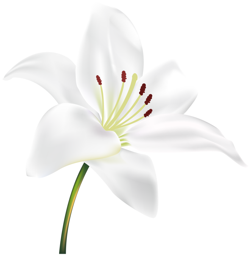 硒维康能喝中药一起吃吗(吃中药可以吃硒片吗)-硒宝网