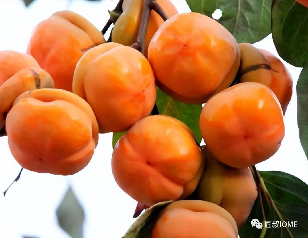 硒维康能喝中药一起吃吗（中药和硒能不能一起吃）-硒宝网