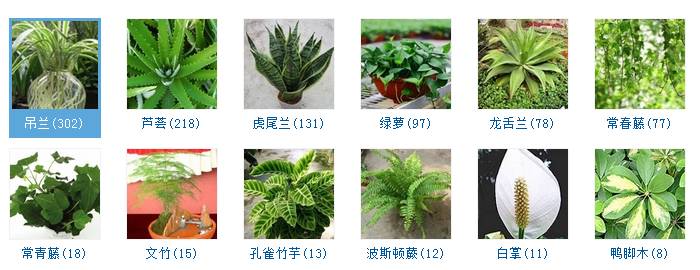 硒维康什么人都可以吃吗(吃硒维康可以抗疲劳吗女性)-硒宝网