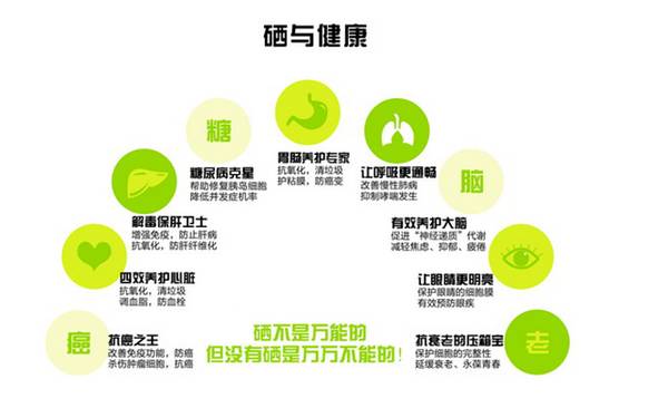 硒维康对血脂高的有用吗（硒对血脂有好什么好处）-硒宝网