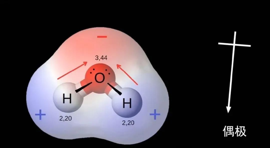微量元素pb是什么意思(微量元素pbcd)-硒宝网