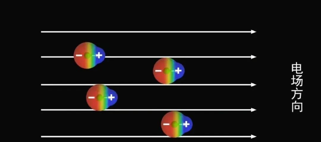微量元素pb是什么意思(微量元素pbcd)-硒宝网