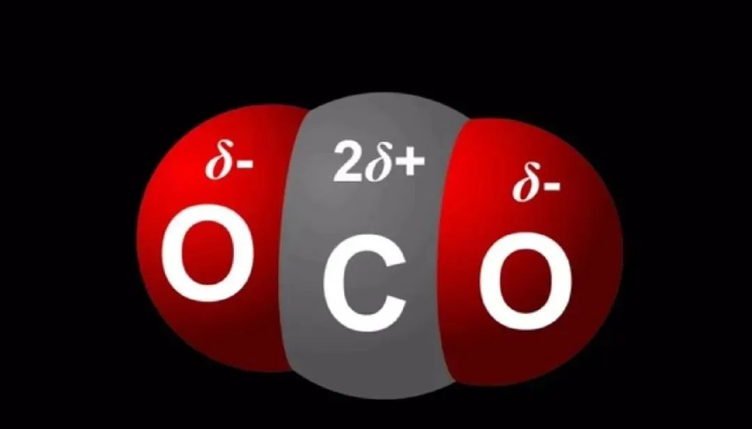 微量元素pb是什么意思(微量元素pbcd)-硒宝网