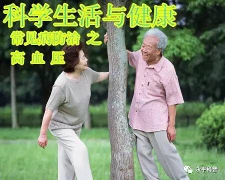 锌硒宝高血压患者能吃吗(锌血压)-硒宝网