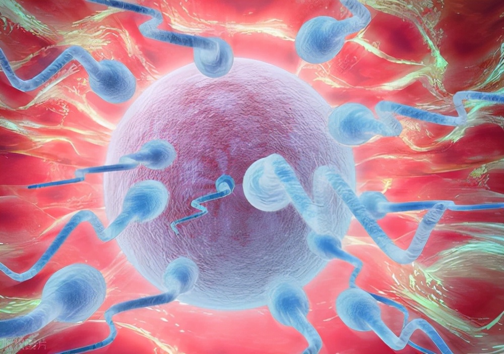 女的想怀孕可以吃锌硒宝（锌加硒口服液孕妇需要吃多久）-硒宝网