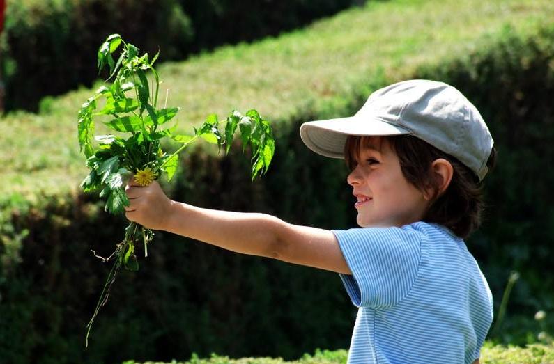 儿童不缺锌能吃锌硒宝吗（宝宝补锌吃锌硒宝可以吗）-硒宝网