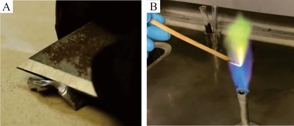 锌硒宝过量服用导致脱毛（锌对脱头发有关系吗）-硒宝网