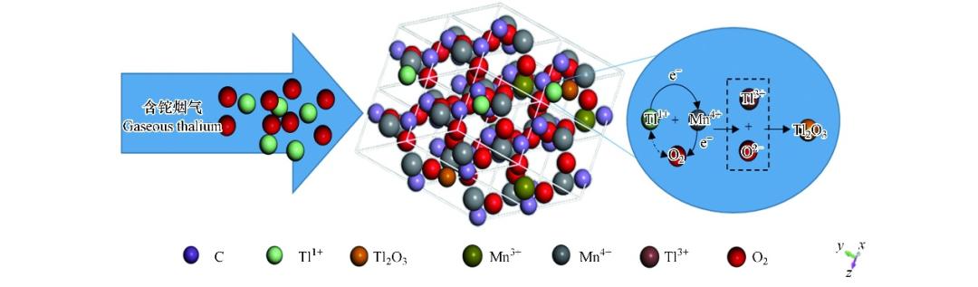 锌硒宝过量服用导致脱毛（锌对脱头发有关系吗）-硒宝网