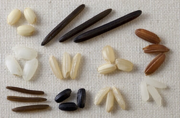 锌硒宝片儿童营养补充剂（锌补充剂）-硒宝网