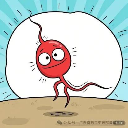 备孕期间锌硒宝怎么服用（备孕吃锌硒）-硒宝网