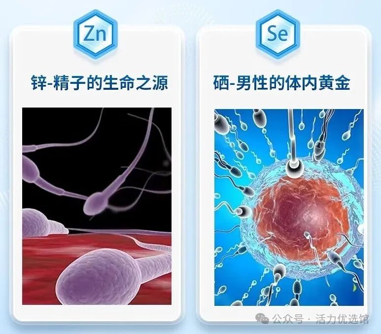 锌硒宝补锌效果真的好吗(锌硒宝效果好吗)-硒宝网