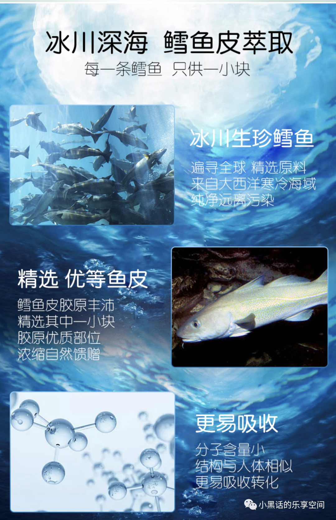 锌硒宝蛋白片哪个牌子好（蛋白锌硒宝片有什么功效）-硒宝网