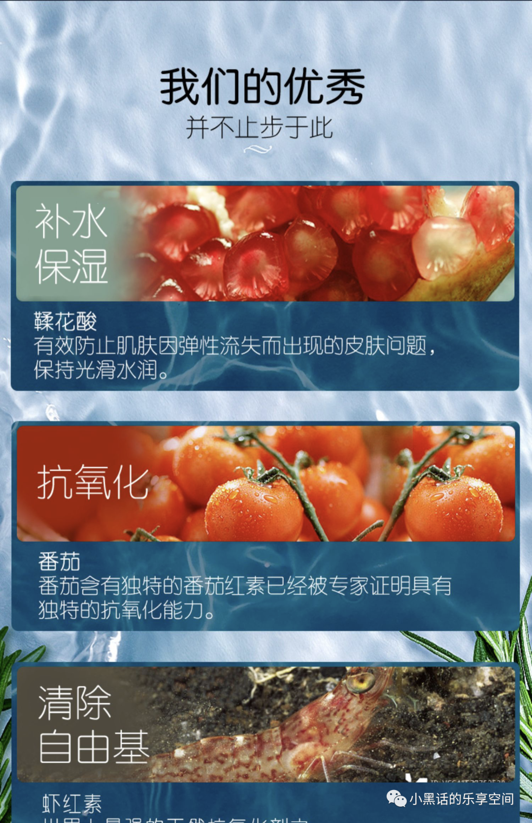 锌硒宝蛋白片哪个牌子好（蛋白锌硒宝片有什么功效）-硒宝网