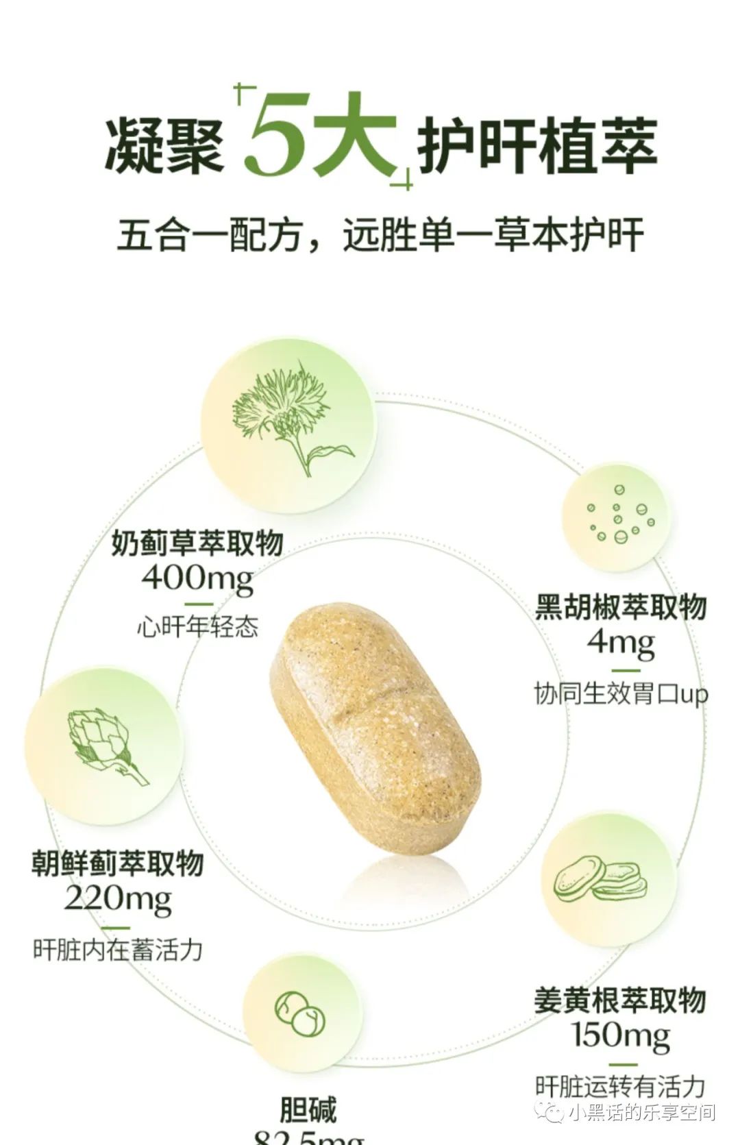 锌硒宝蛋白片哪个牌子好（蛋白锌硒宝片有什么功效）-硒宝网